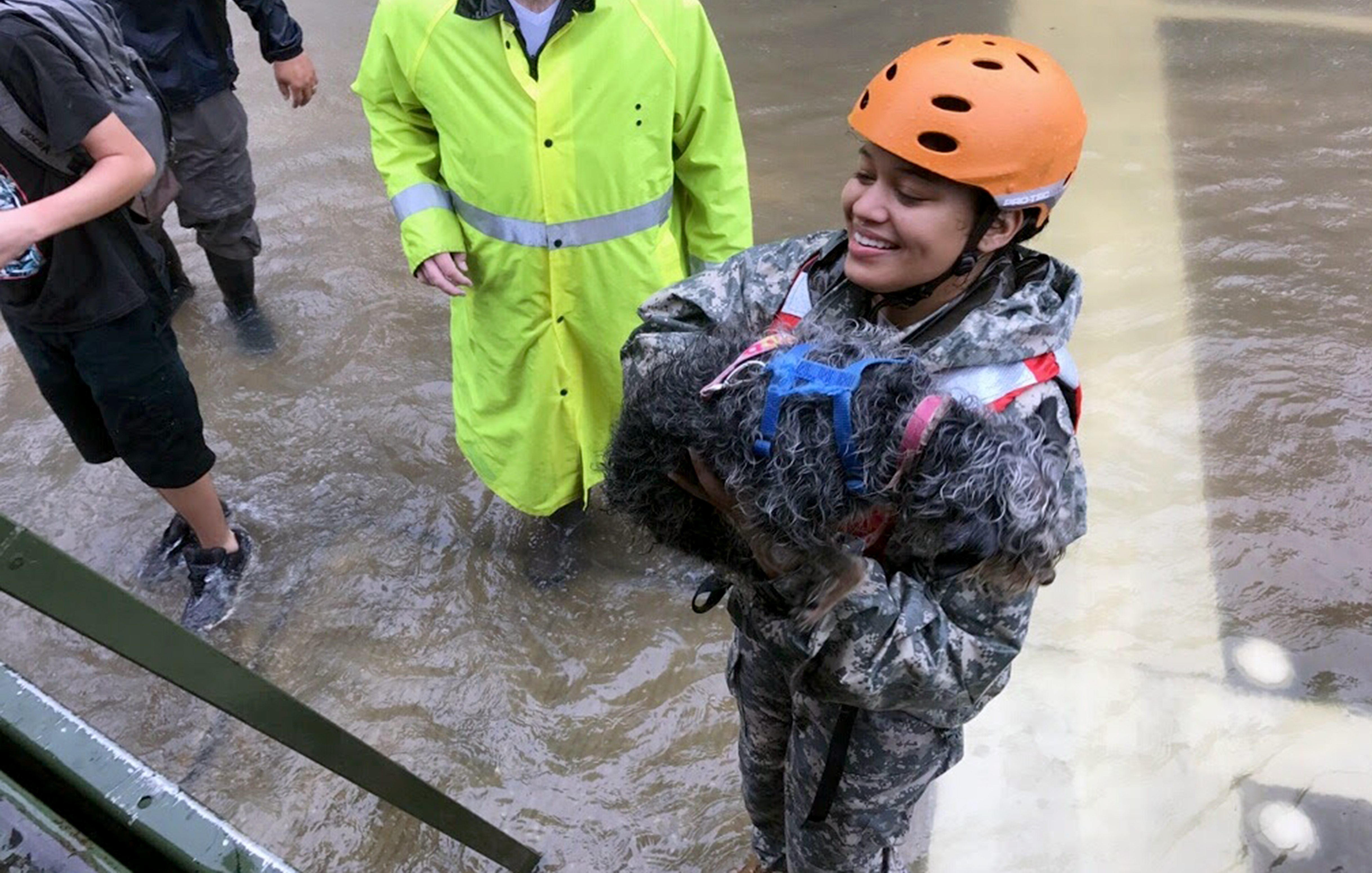 A soldier with the Texas Army National Guard rescues a family's pet during Hurricane Harvey. (U.S. Army photo by 1st Lt. Zachary West)