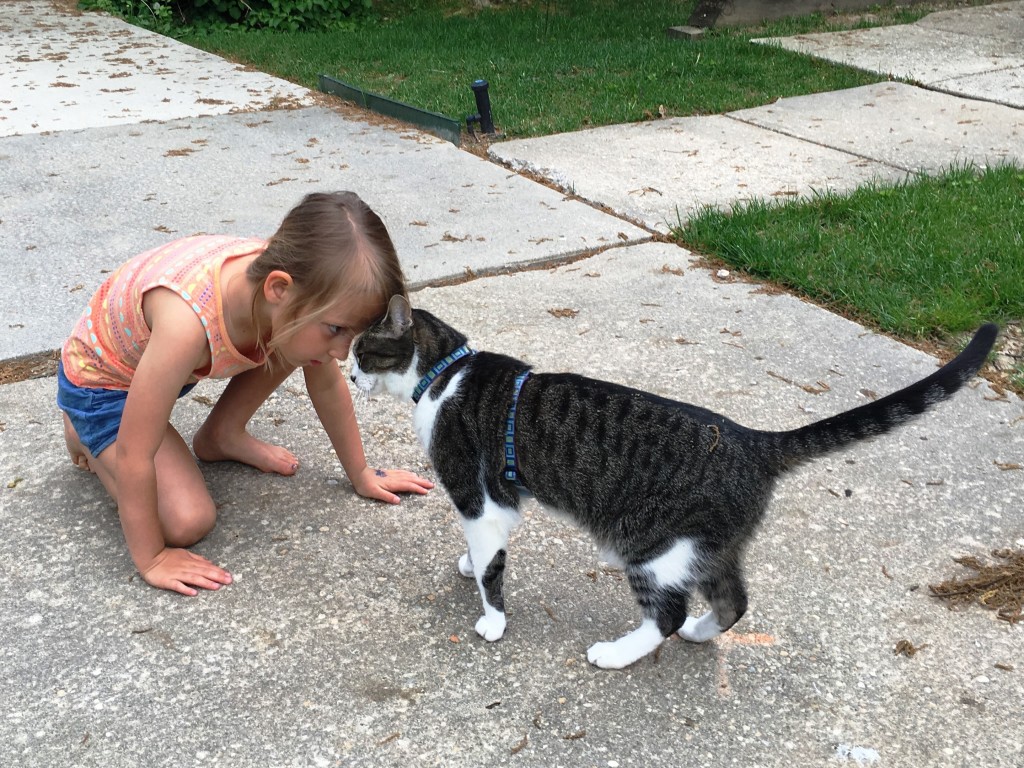 amelia and jasper